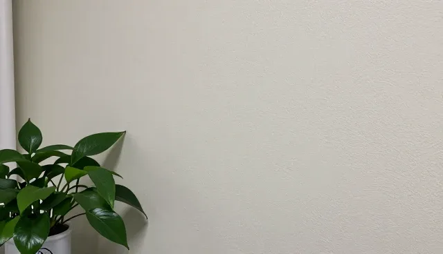 技术转让服务中维护方法对成果的影响